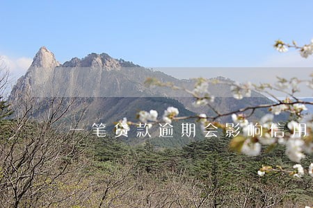 一笔贷款逾期会影响信用卡吗 一笔贷款逾期会影响信用卡吗