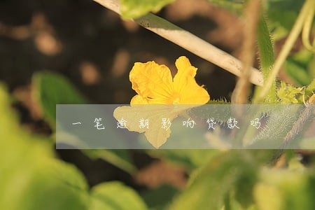 一笔逾期影响贷款吗 一笔逾期影响贷款吗