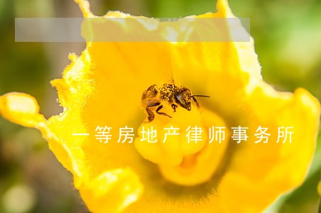 一等房地产律师事务所 一等房地产律师事务所