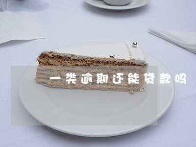 一类逾期还能贷款吗 一类逾期还能贷款吗