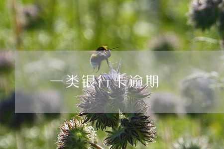 一类银行卡逾期 一类银行卡逾期
