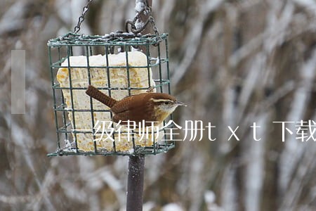 一级律师全册txt下载 一级律师全册txt下载