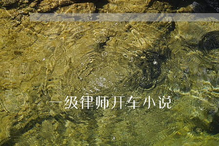 一级律师开车小说 一级律师开车小说