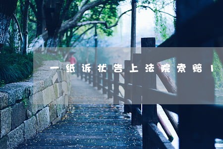 一纸诉状告上法院索赔12万 一纸诉状告上法院索赔12万