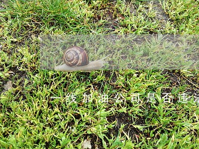 一线加油公司是否违法 一线加油公司是否违法