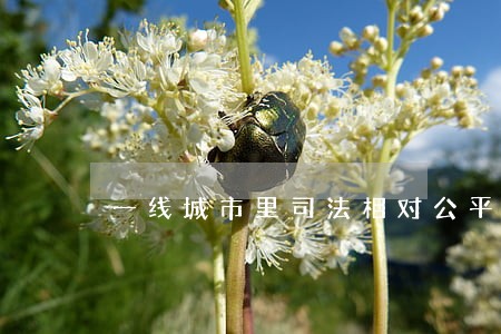 一线城市里司法相对公平