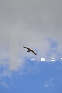 一般二次司法鉴定要多久 一般二次司法鉴定要多久