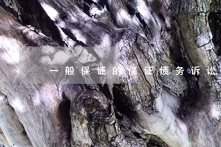 一般保证的保证债务诉讼时效 一般保证的保证债务诉讼时效