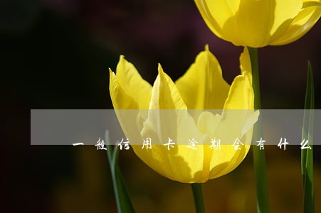 一般信用卡逾期会有什么影响吗