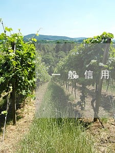 一般信用卡逾期几天上征信 一般信用卡逾期几天上征信