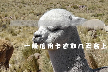 一般信用卡逾期几天会上征信 一般信用卡逾期几天会上征信