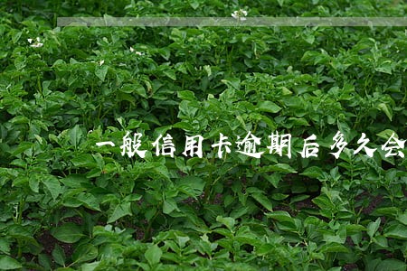 一般信用卡逾期后多久会被起诉 一般信用卡逾期后多久会被起诉