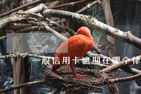 一般信用卡逾期在哪个律所