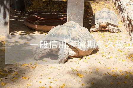 一般信用卡逾期多久被立案抓人