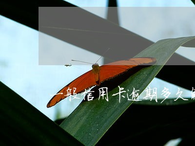 一般信用卡逾期多久解决 一般信用卡逾期多久解决