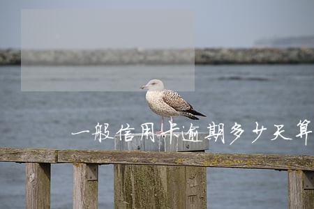一般信用卡逾期多少天算利息 一般信用卡逾期多少天算利息