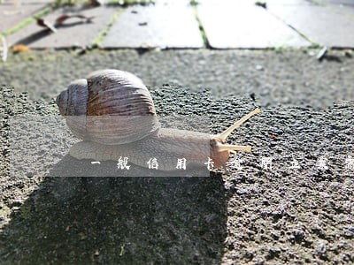 一般信用卡逾期立案需要多久