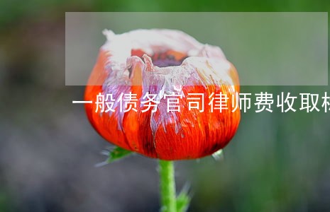 一般债务官司律师费收取标准 一般债务官司律师费收取标准