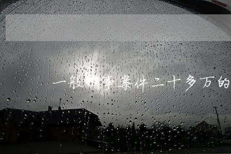 一般刑事案件二十多万的律师费 一般刑事案件二十多万的律师费