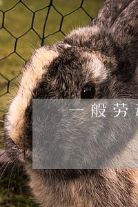 一般劳动仲裁不受理到法院起诉