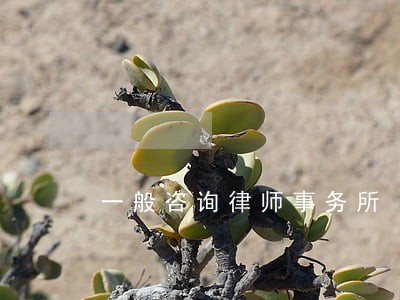 一般咨询律师事务所 一般咨询律师事务所