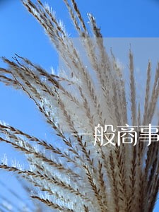 一般商事合同纠纷律师 一般商事合同纠纷律师