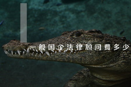 一般国企法律顾问费多少 一般国企法律顾问费多少