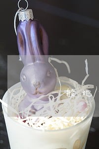 一般地方性法规作用