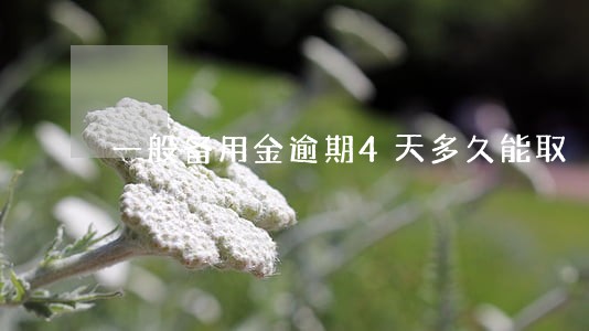 一般备用金逾期4天多久能取 一般备用金逾期4天多久能取