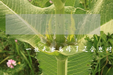 一般夫妻离婚了还会想对方吗 一般夫妻离婚了还会想对方吗