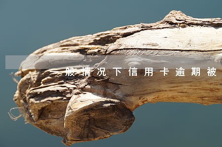 一般情况下信用卡逾期被关注吗