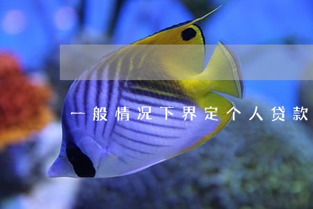 一般情况下界定个人贷款逾期 一般情况下界定个人贷款逾期