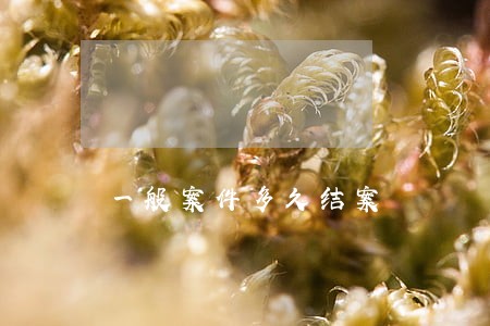 一般案件多久结案 一般案件多久结案
