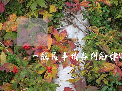一般民事债务纠纷律师费用 一般民事债务纠纷律师费用