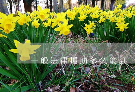 一般法律援助多久能到 一般法律援助多久能到