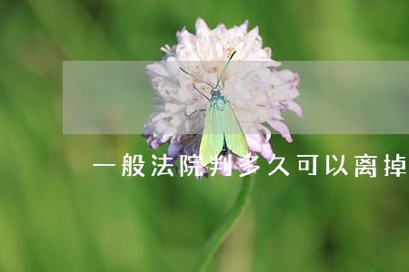 一般法院判多久可以离掉 一般法院判多久可以离掉