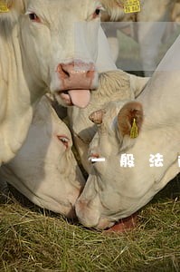 一般法院多久会通知我们 一般法院多久会通知我们