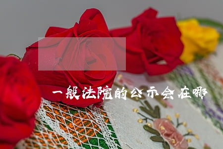 一般法院的公示会在哪 一般法院的公示会在哪