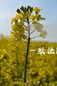 一般法院罚款非法所得的几倍