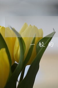 一般的法律顾问一年价格 一般的法律顾问一年价格