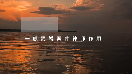 一般离婚案件律师作用 一般离婚案件律师作用