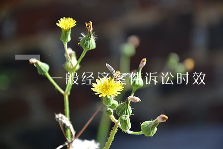一般经济案件诉讼时效 一般经济案件诉讼时效