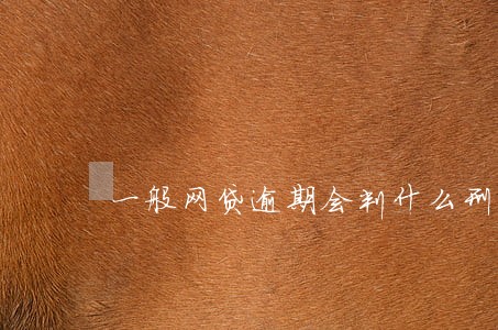 一般网贷逾期会判什么刑 一般网贷逾期会判什么刑