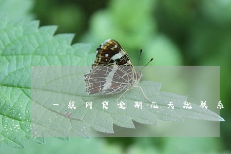 一般网贷逾期几天就联系家里人 一般网贷逾期几天就联系家里人