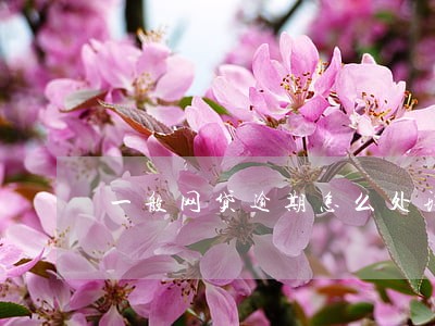 一般网贷逾期怎么处理 一般网贷逾期怎么处理