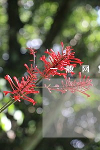 一般网贷逾期费用怎么算的 一般网贷逾期费用怎么算的