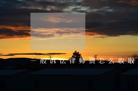 一般诉讼律师费怎么收取 一般诉讼律师费怎么收取