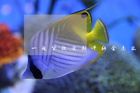一般贷款逾期滞纳金怎么算的