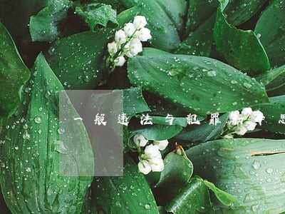一般违法与犯罪初中思品提