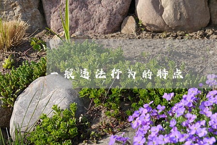 一般违法行为的特点 一般违法行为的特点